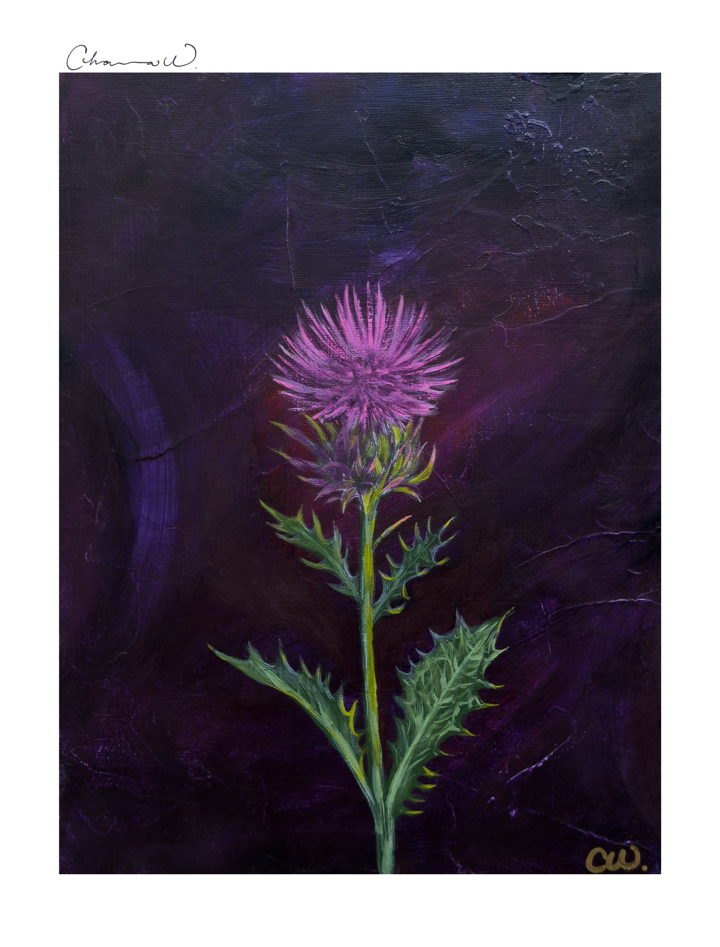 Fine Art Print | This Thistle