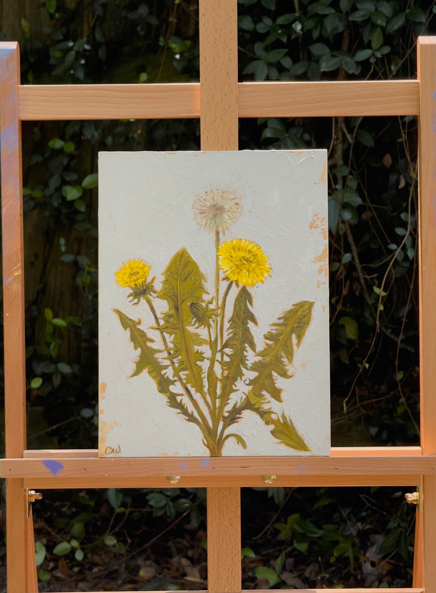 Dandelion | Original Acrylic