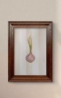 Giclée Fine Art Print | Rustic Garlic