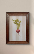 Giclée Fine Art Print | Rustic Radish