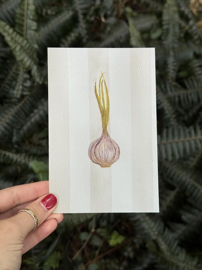 Giclée Fine Art Print | Rustic Garlic