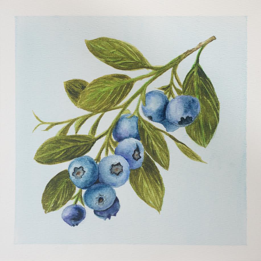 Blueberry Blues Giclée Fine Art Print