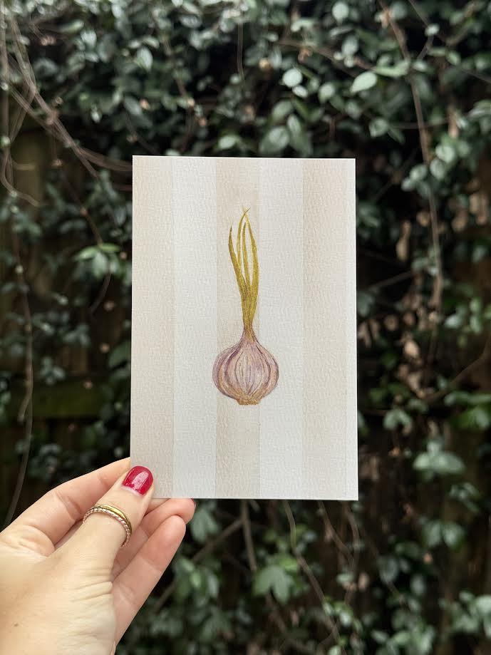 Giclée Fine Art Print | Rustic Garlic