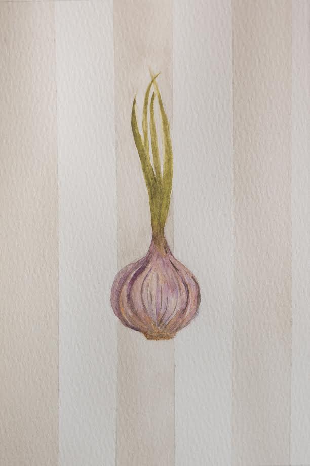 Giclée Fine Art Print | Rustic Garlic