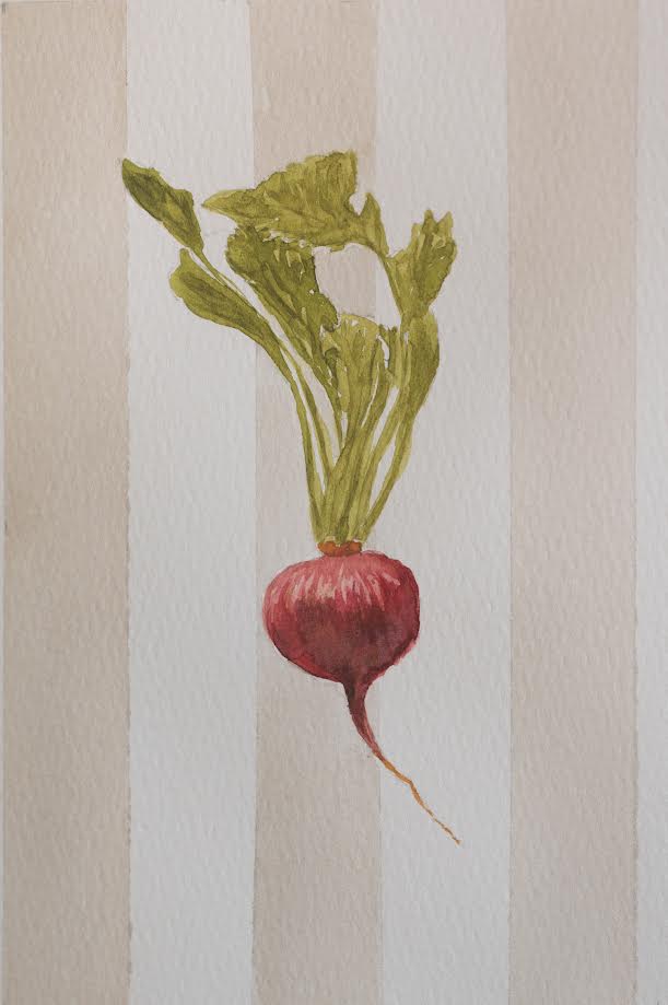 Giclée Fine Art Print | Rustic Radish
