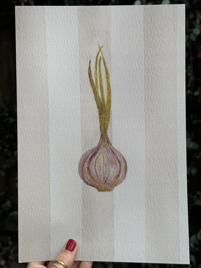 Giclée Fine Art Prints - Set of 3 | Rustic Carrot, Radish, Garlic