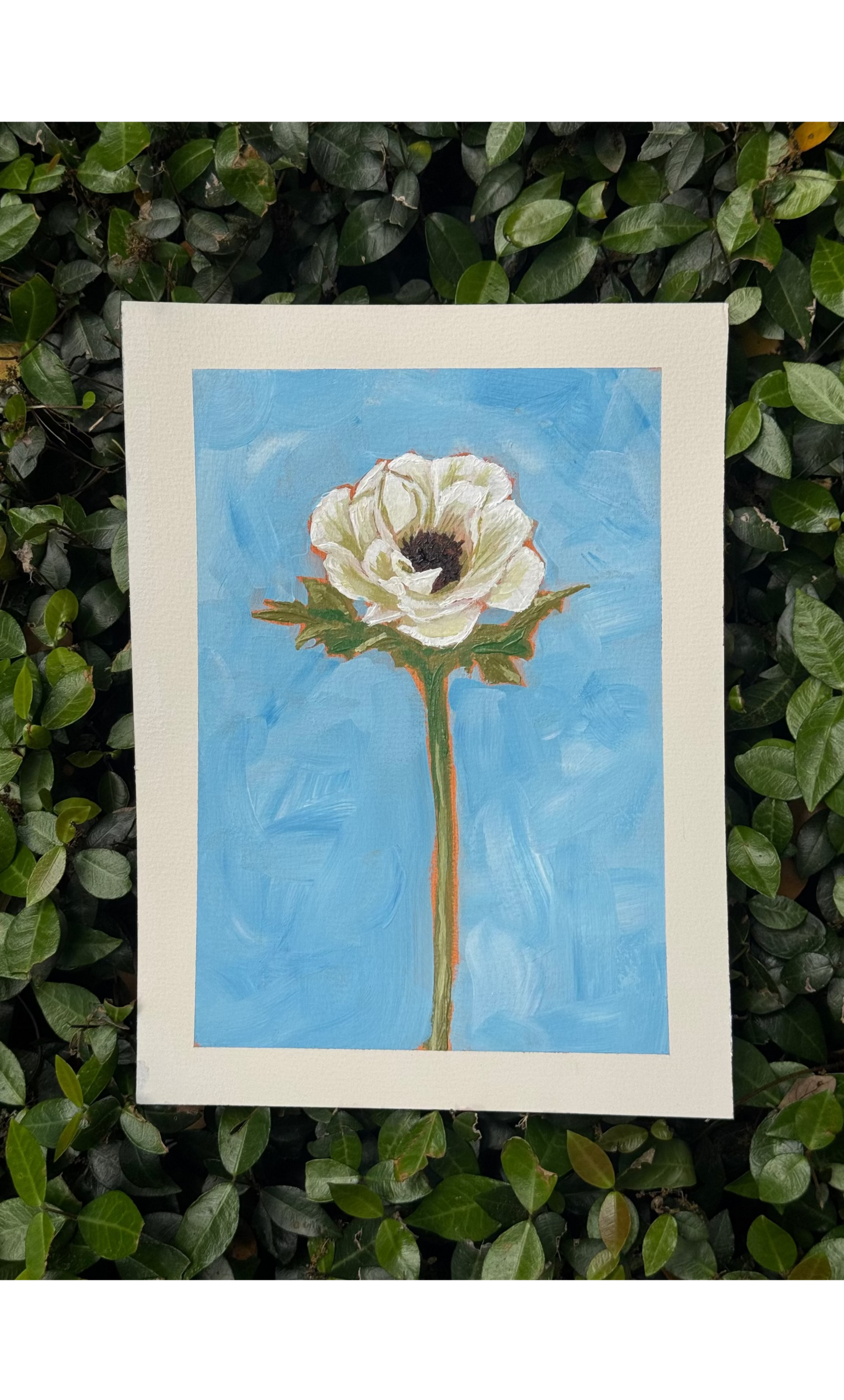 Single Anemone | Original Acrylic