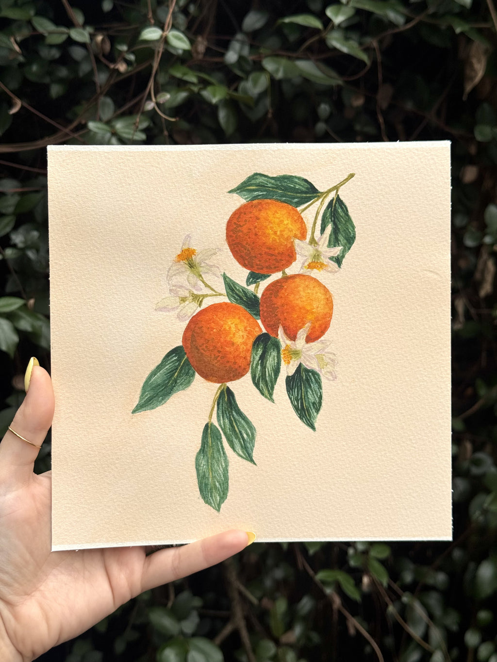 Orange You Happy? | Original Watercolor - 8x8