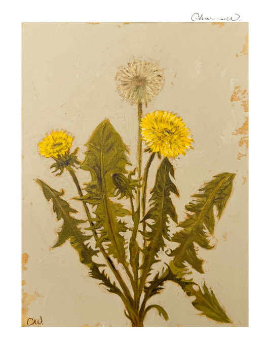 Fine Art Print | Dandelion
