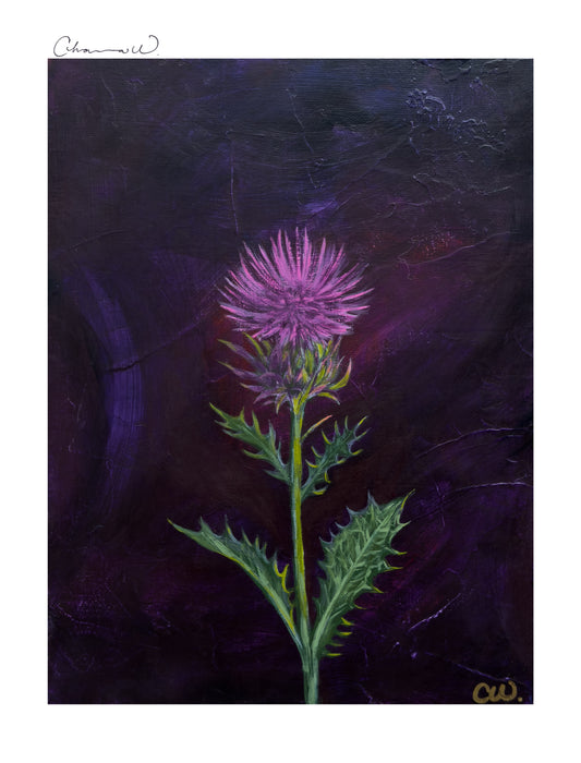 Fine Art Print | This Thistle