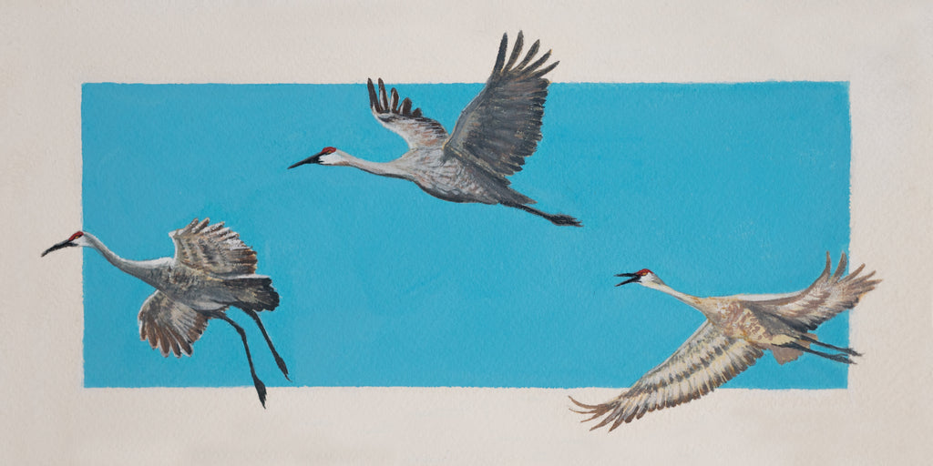 10x20 Fine Art Giclee Print | Sandhill Cranes in Flight
