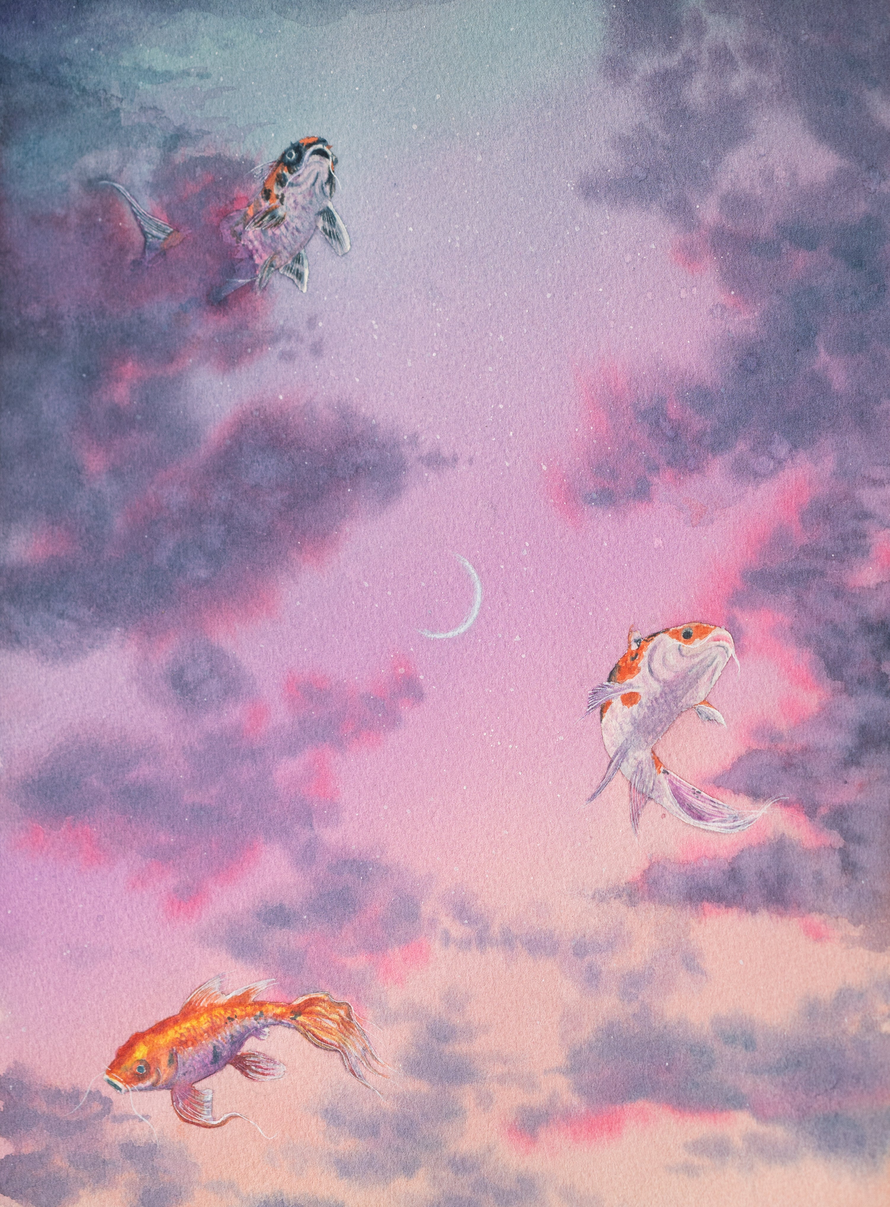 Fine Art Giclee Print | Twilight Kois