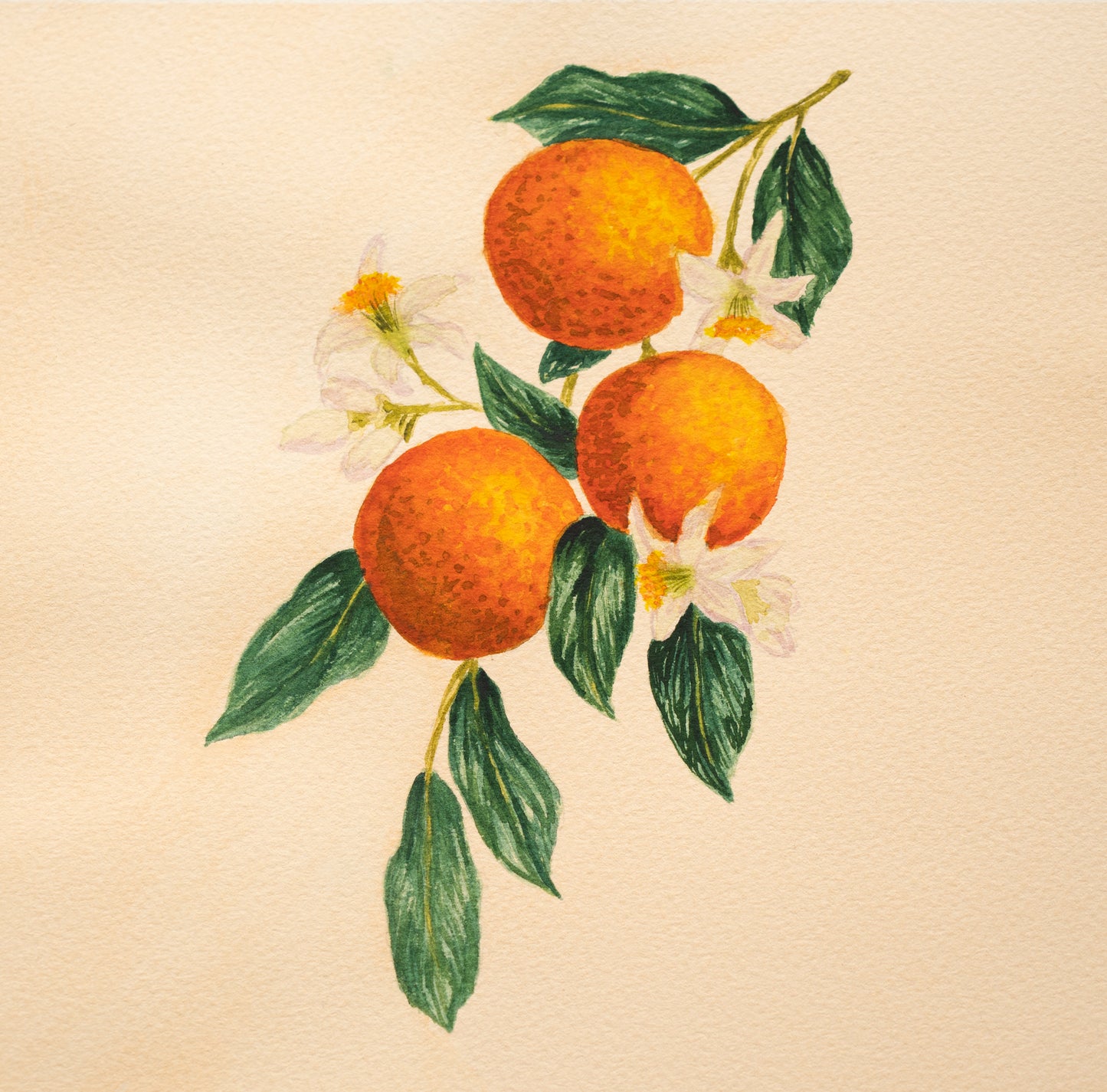 Orange You Happy? | Giclée Fine Art Print