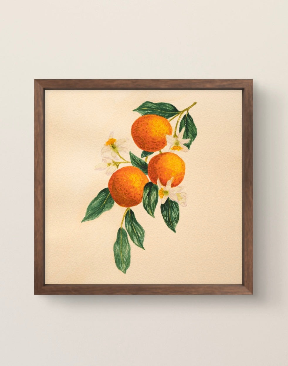 Orange You Happy? | Original Watercolor - 8x8