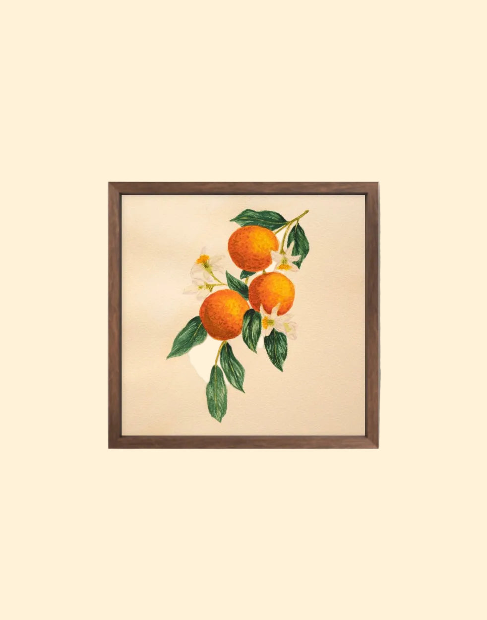 Orange You Happy? | Original Watercolor - 8x8