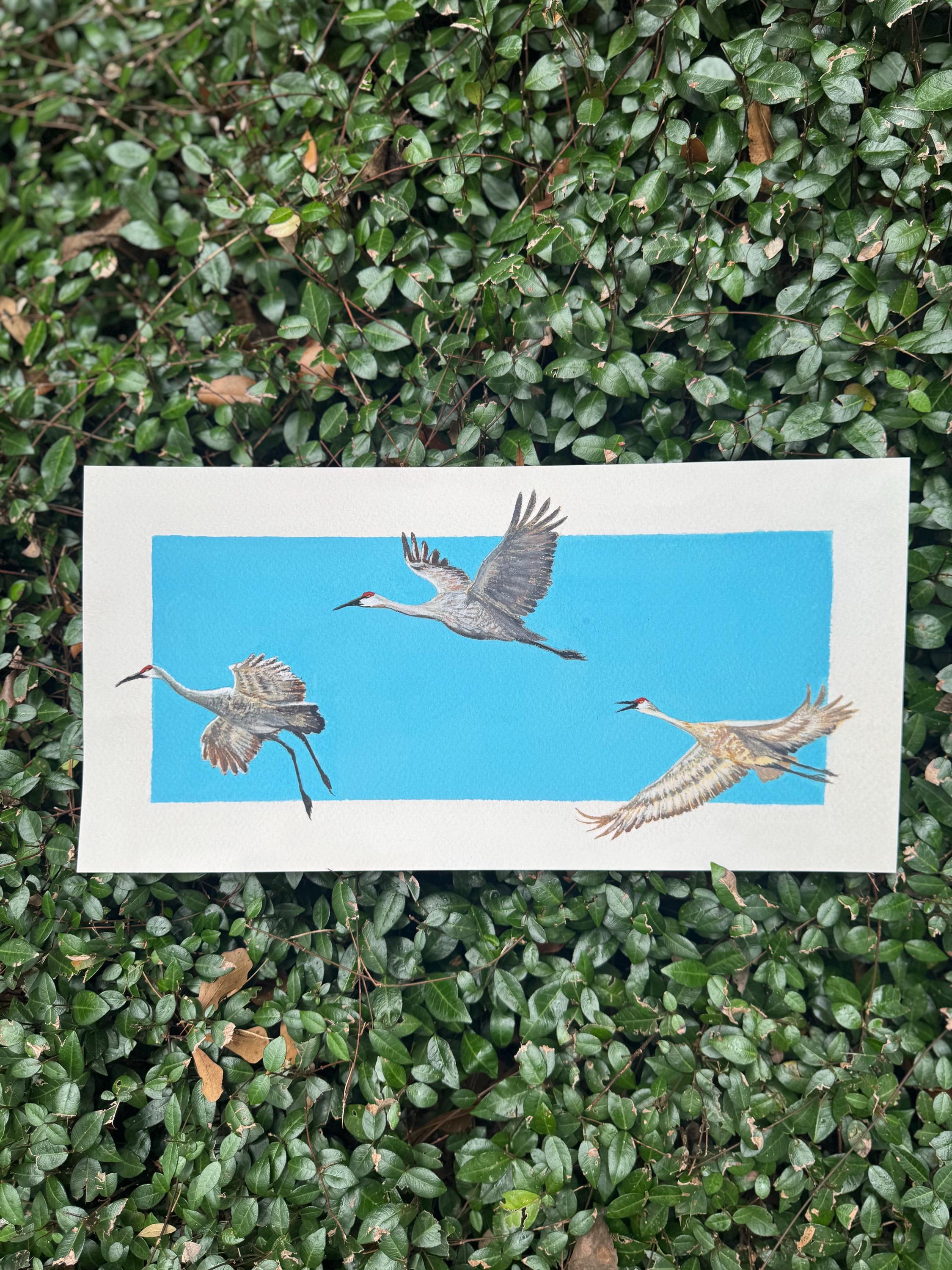 10x20 Fine Art Giclee Print | Sandhill Cranes in Flight