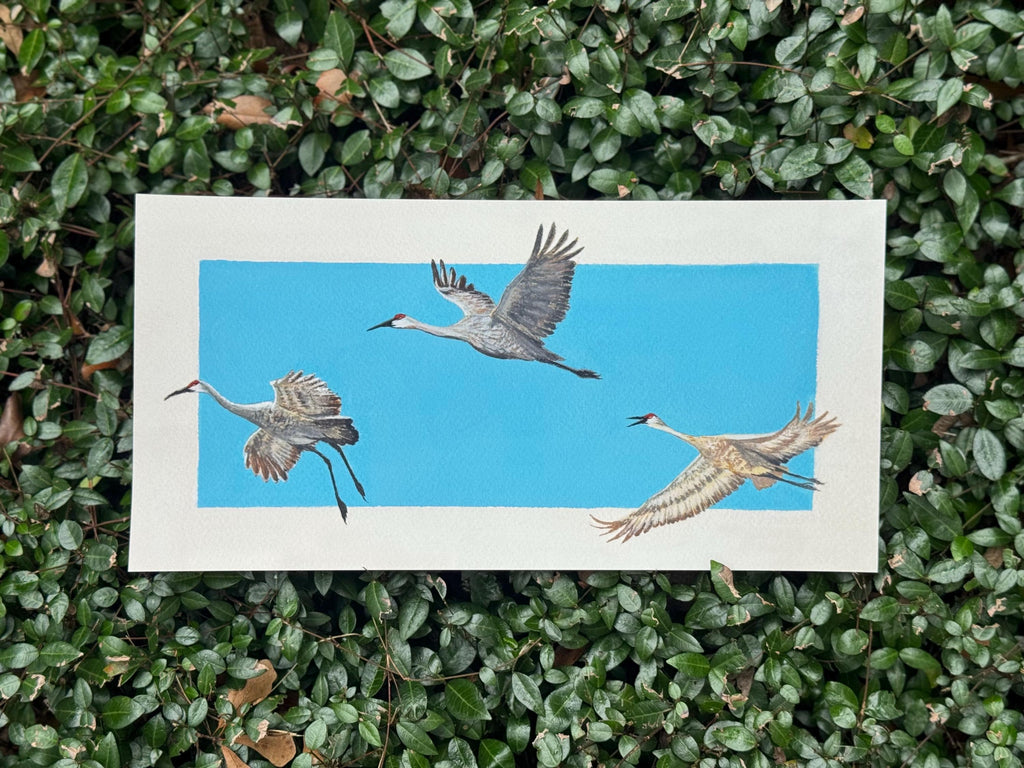 10x20 Fine Art Giclee Print | Sandhill Cranes in Flight